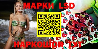 spice Рязань
