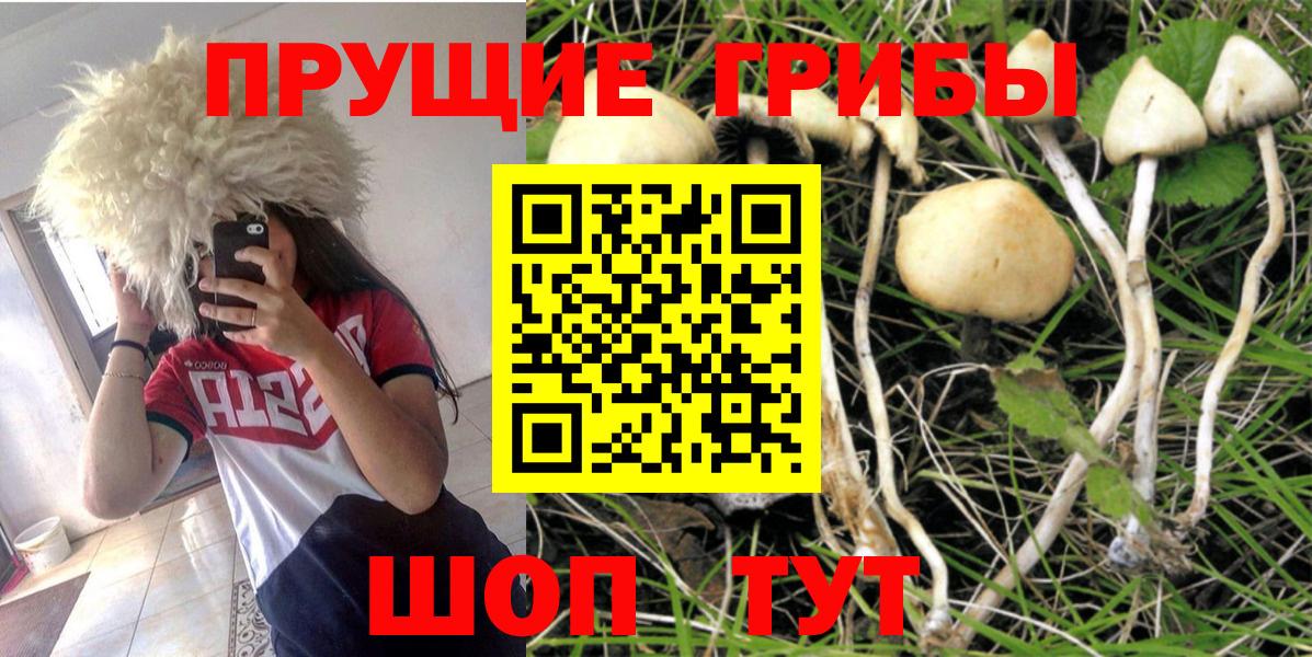 Псилоцибиновые грибы Magic Shrooms Новочебоксарск